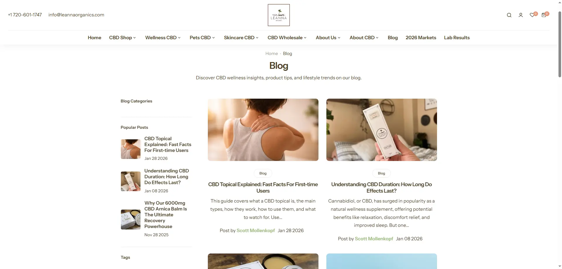 New Leanna Organics blog article on Shopify