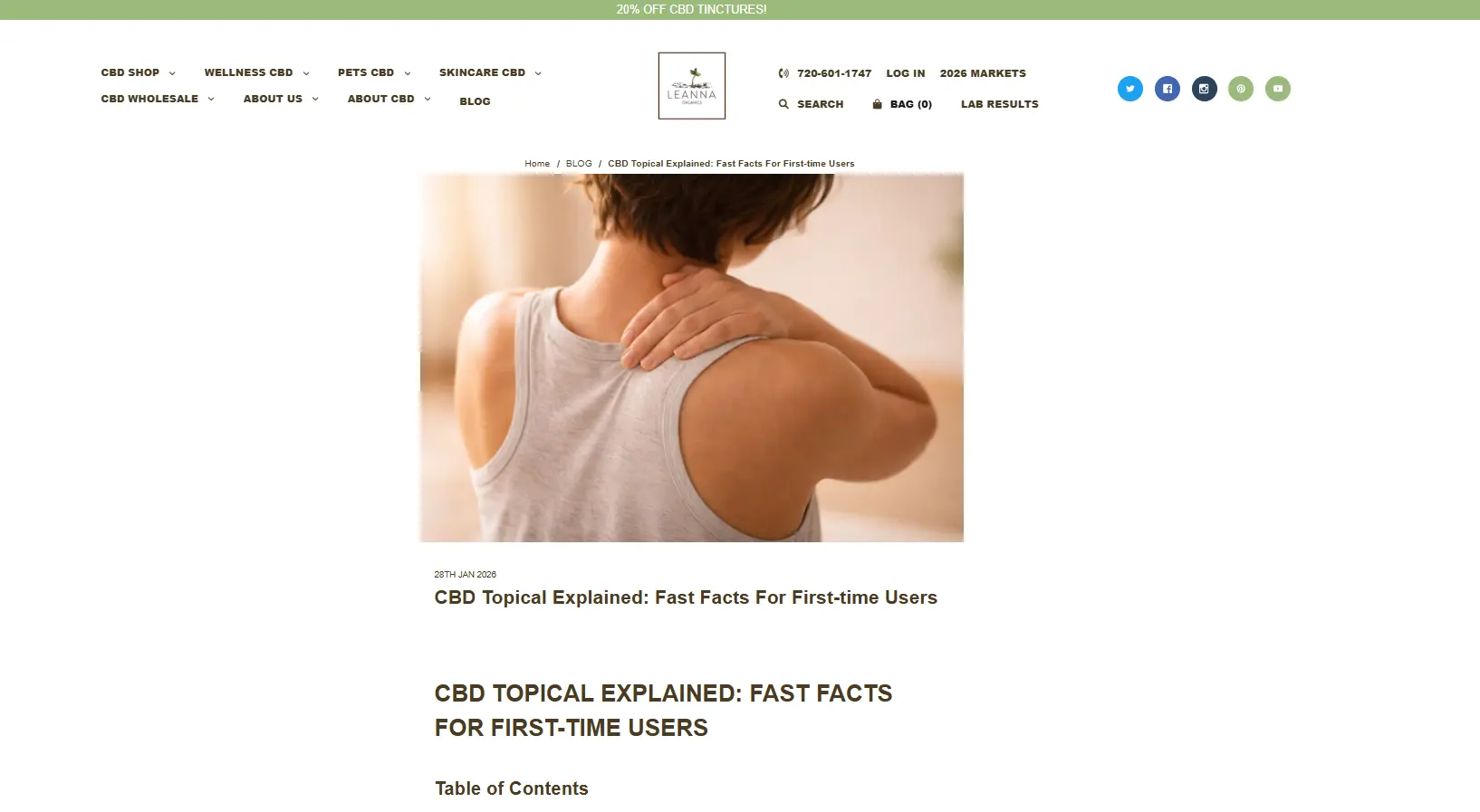 Old Leanna Organics blog article on BigCommerce