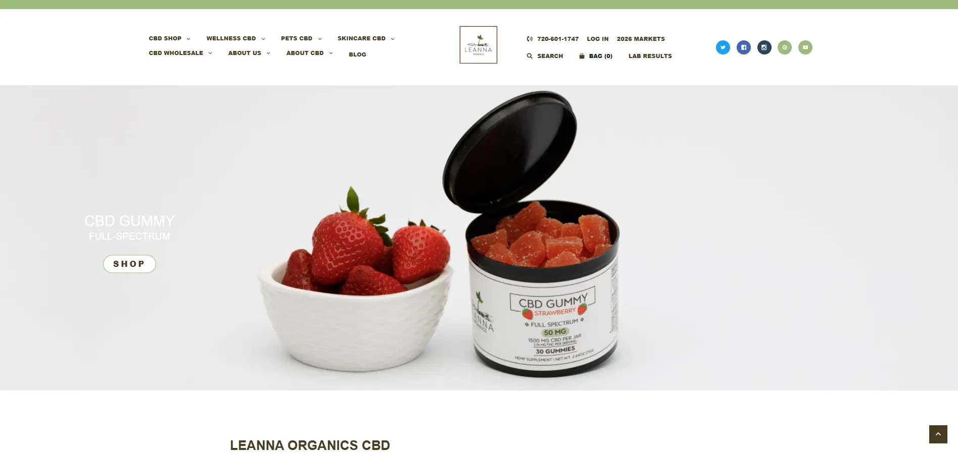 Old Leanna Organics homepage hero on BigCommerce